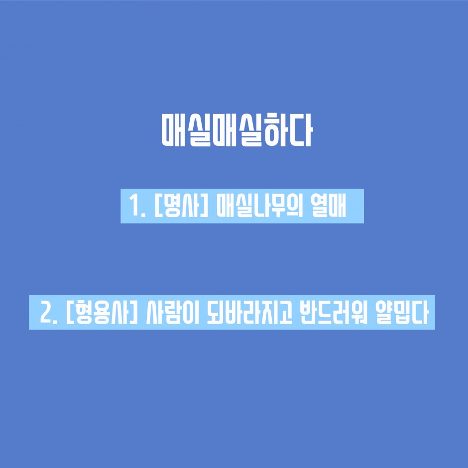 개별주제-29